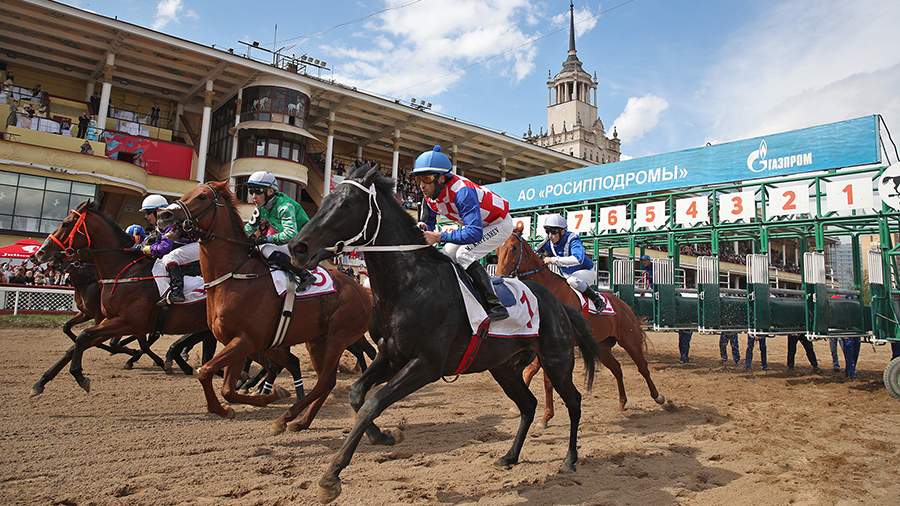 Ход конем: в столице состоялось открытие сезона скачек