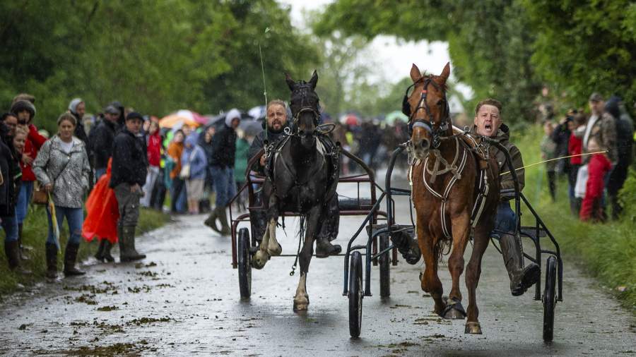 Центральная лошадь: как выглядит крупнейшая цыганская конная ярмарка в Европе