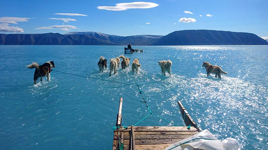В теплой обстановке: Гренландия начала таять