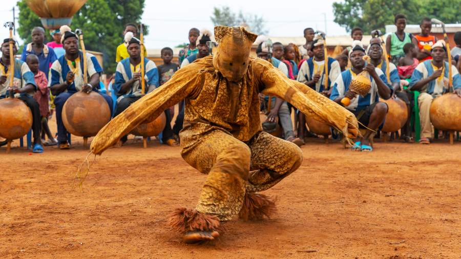 Естественный отбор: как аборигены готовят масло ши