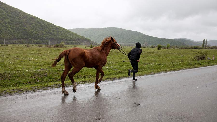 В тени памяти: в Панкисском ущелье пытаются преодолеть наследие войны
