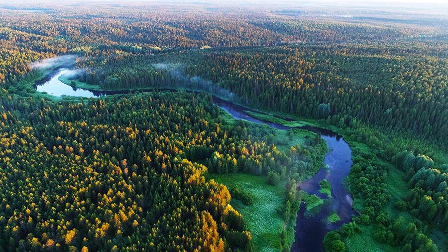 Дикий край: путешествие в сердце северной тайги