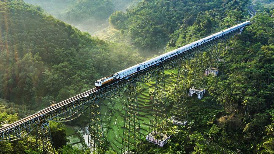 Происхождение видов: лучшие аэрофотографии 2019 года