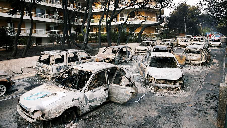 Жизнь как чудо: греческое побережье спустя год после пожара