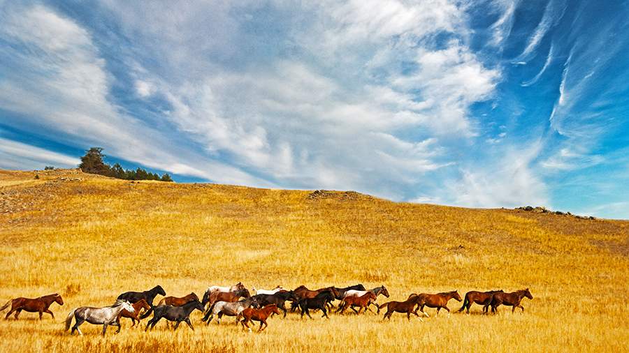 Осень на Байкале: сезон долгих закатов открыт