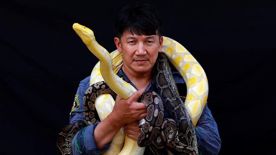 Собиратель змей: как живет пожарный из Таиланда с необычной специализацией