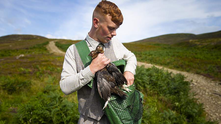 Главное двенадцатое: как в Шотландии открывают сезон охоты