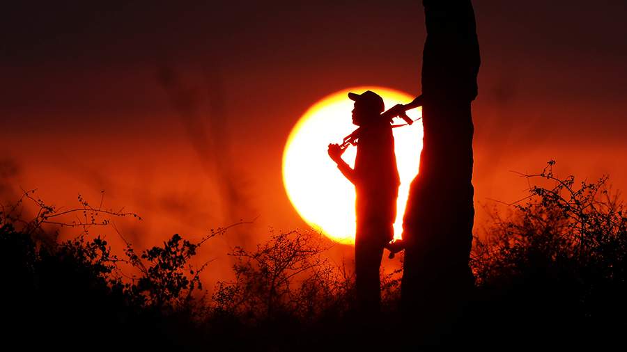 Разносторонний треугольник: почему пасти коров в Африке опасно для жизни