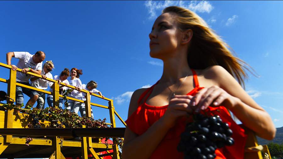 Всем вина: в Крыму открылся фестиваль виноделия