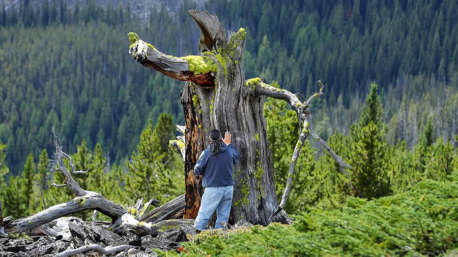 Аварийное разледенение: как потепление изменило Скалистые горы