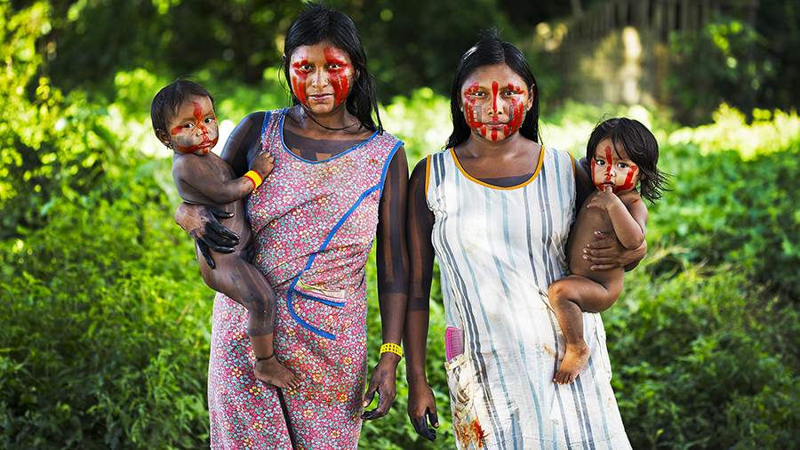 Творчество духа: как выжить в джунглях Амазонки