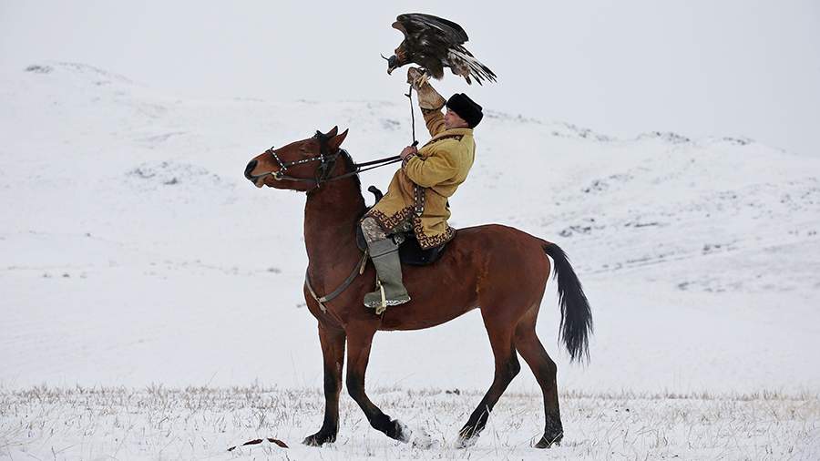 Ручное оружие: особенности национальной охоты с беркутами