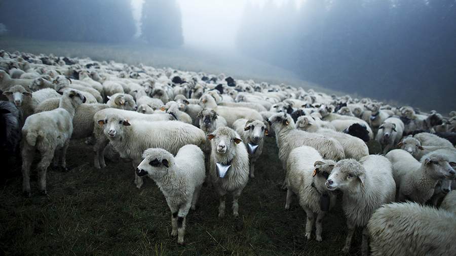 В лучшем виде: что можно найти в Татрах