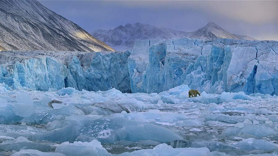 Холодные берега: как сегодня живет Шпицберген