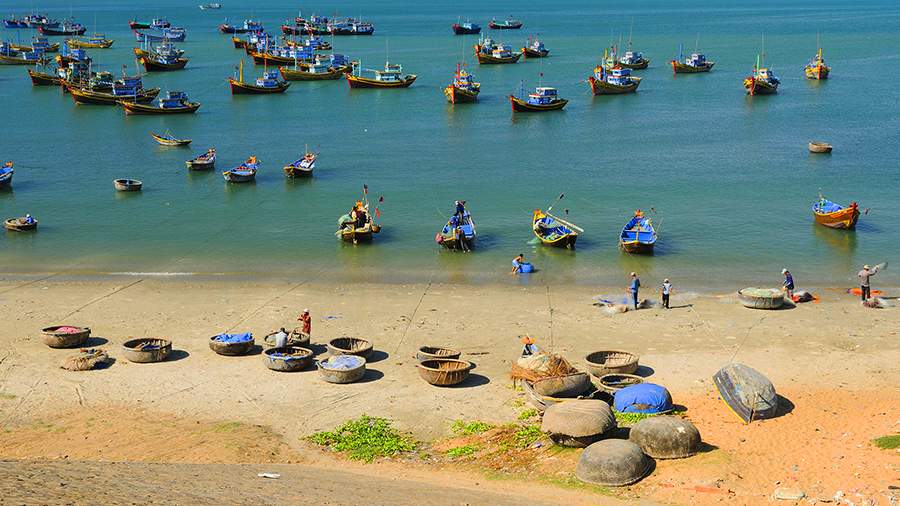 Рыбный дух: что можно найти на пляже в Муйне