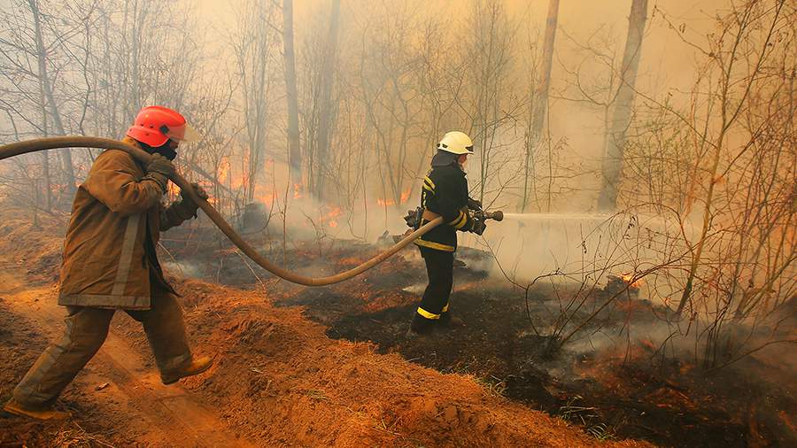 Горячая зона: что происходит в Чернобыле