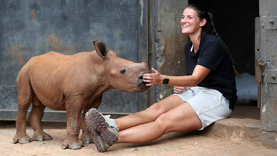 Детский ад: как в условиях пандемии выживают слоны и носороги