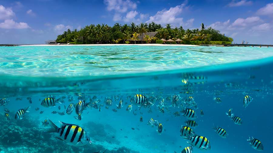 Преломление света: что можно увидеть на границе двух миров