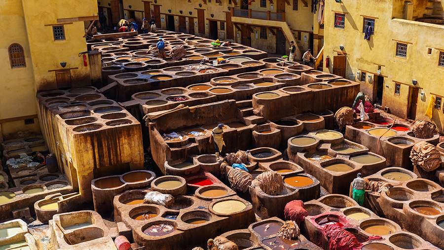 На собственной шкуре: как работают древние красильни Марокко
