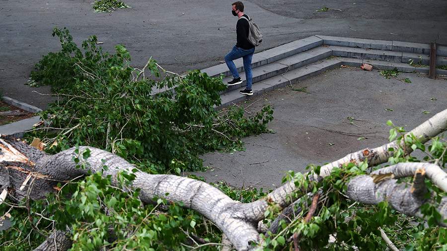 На семи ветрах: последствия урагана в Екатеринбурге