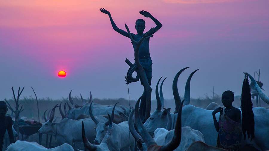 Коровные родственники: почему мундари не едят мясо