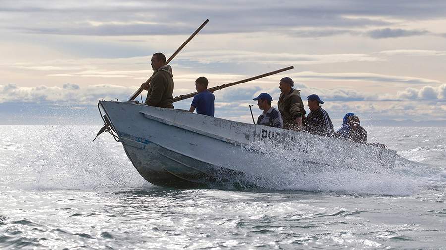 Свободная охота: как чукчи добывают еду