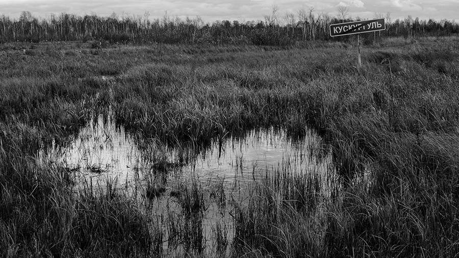 Опасная трясина: как выжить в Заболотье