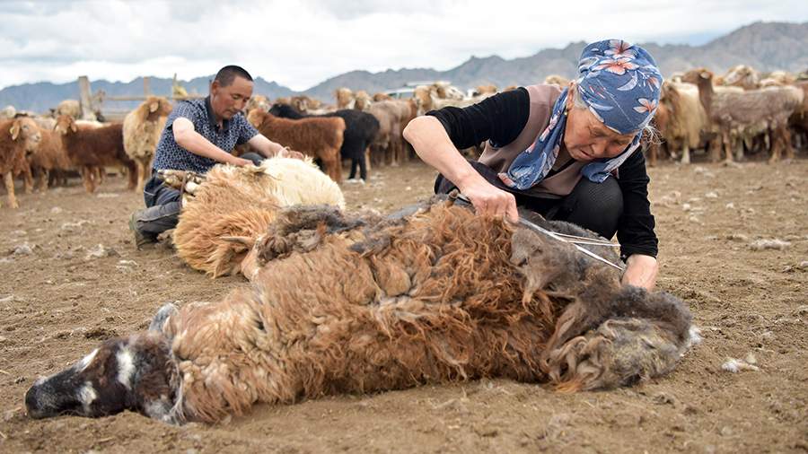 Вечные скитальцы: почему казахи не хотят оседать в китайской деревне