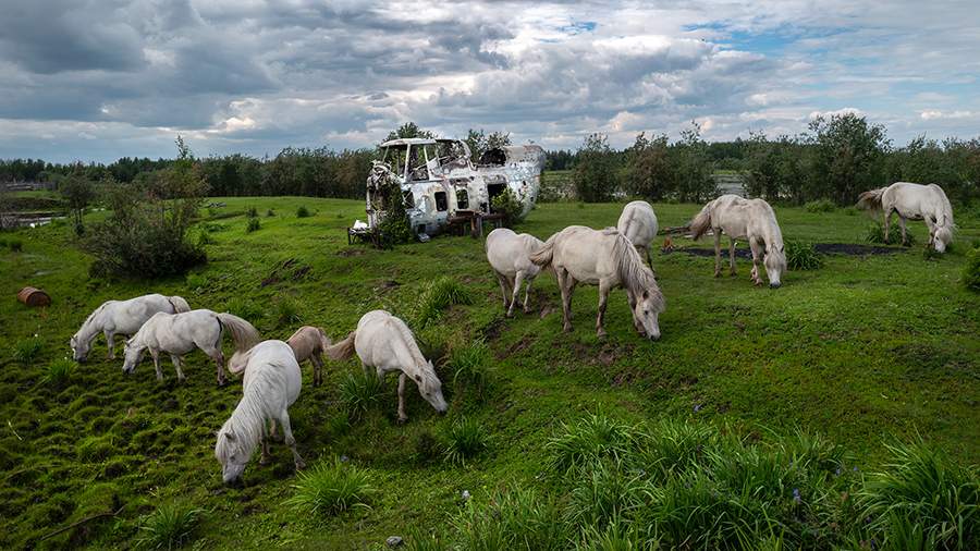 Скоротечная мерзлота: почему на Севере не работают народные приметы