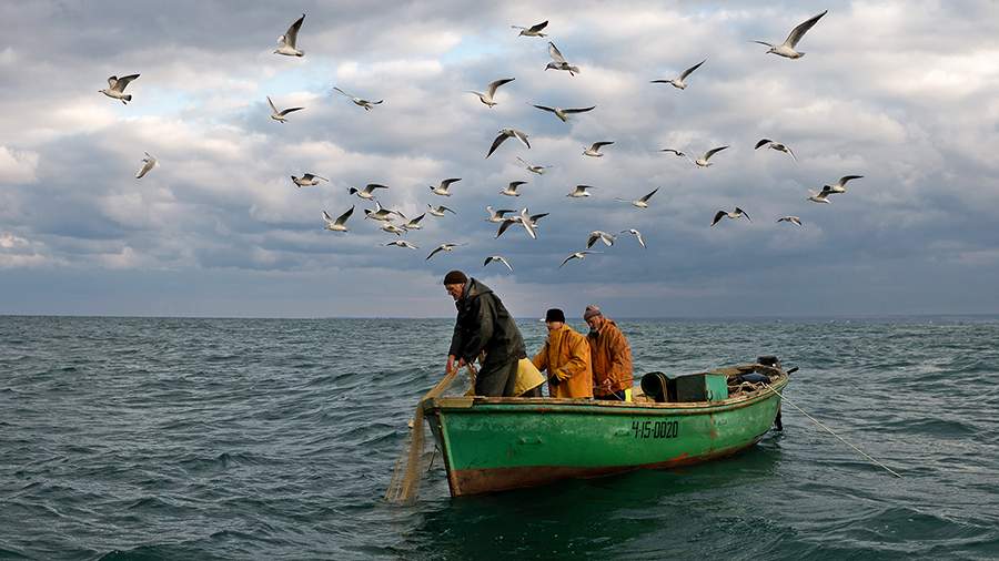 Есть чего ловить: как рыбачат на Черном море