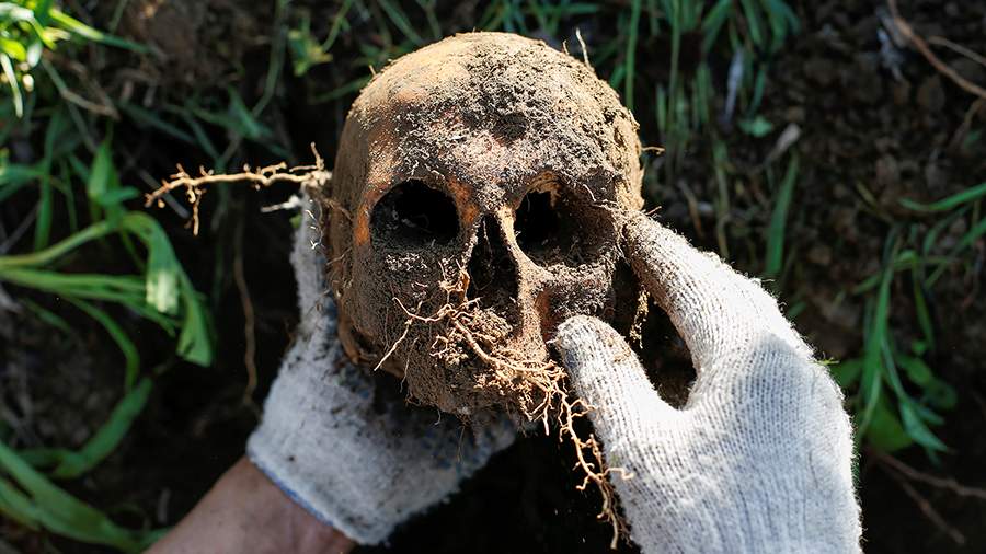 Безымянная звезда: как ищут пропавших солдат