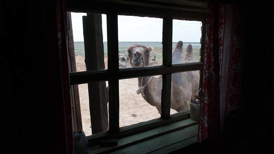 Чумовое место: почему в Таутобе нельзя трогать сусликов