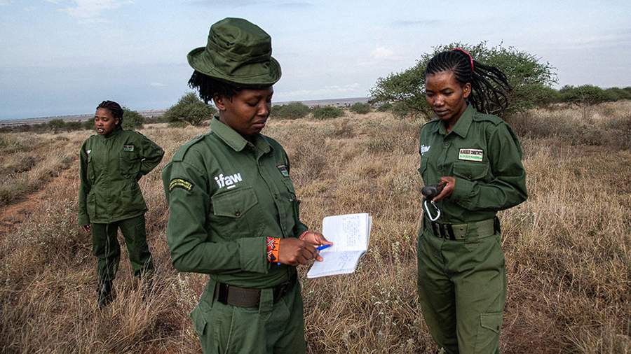 Девичий секрет: почему слоны и носороги не смогут выжить без женщин