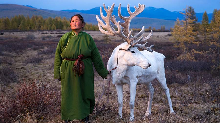 На рогах: как живут кочевники-оленеводы Монголии