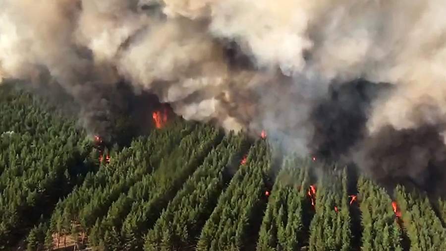 Жаркий день: Ростовская область борется с огнем