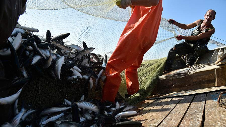 Природная хитрость: что древние греки оставили крымским рыбакам