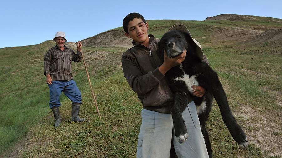 Свободный выбор: что заменяет деньги таджикским пастухам