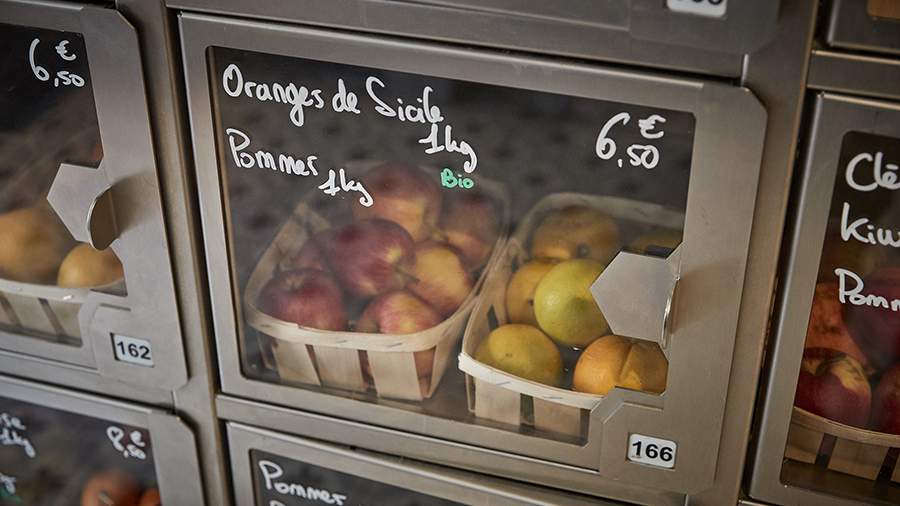 Правильная еда: как в мегаполисе получить овощи с грядки