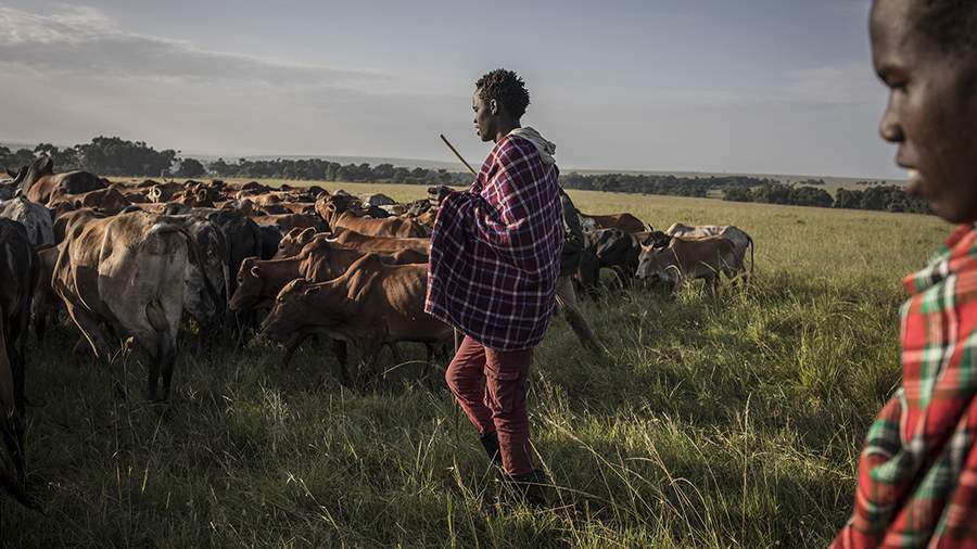 Вирусная природа: что происходит в заповедниках Кении