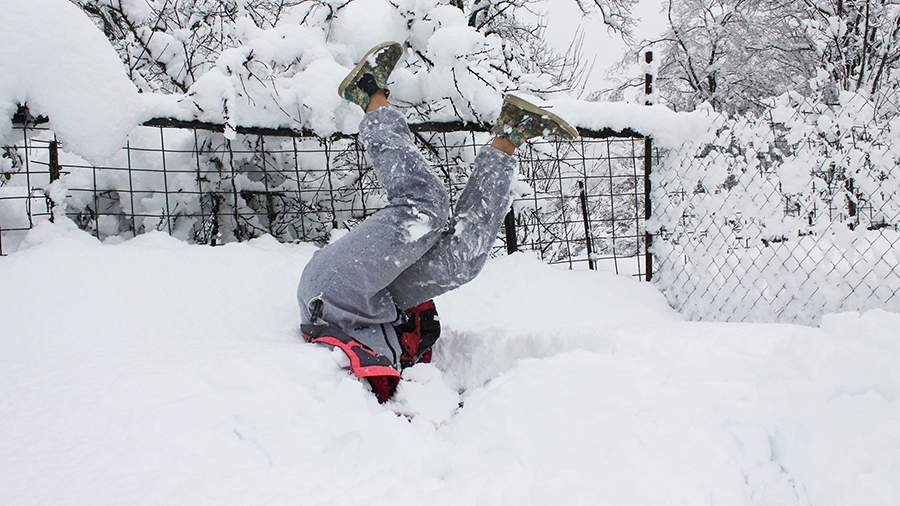 Пальмы в снегу: Сочи украсила природная аномалия