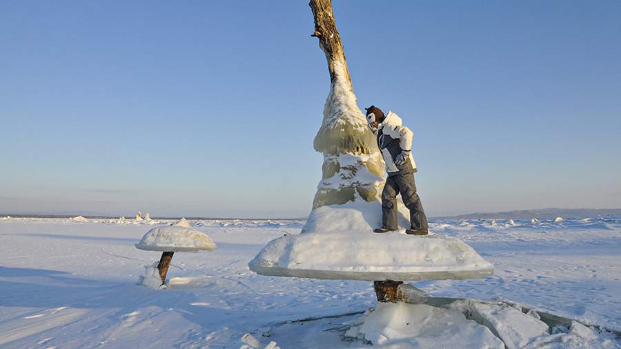 Сложная природа: у Бурейской ГЭС появились гигантские грибы