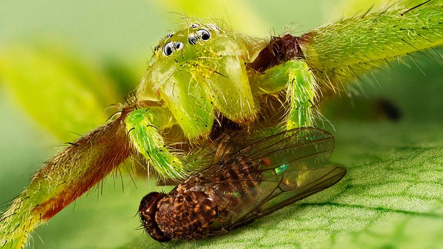 Стихия Земли: самые невероятные научные фото