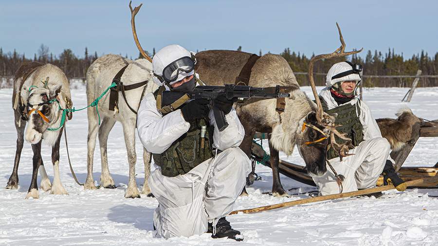 Ручное управление: как морские пехотинцы воевали с собаками