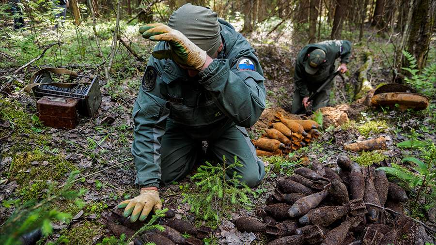 Служба безопасности: как работают саперы в Смоленской области
