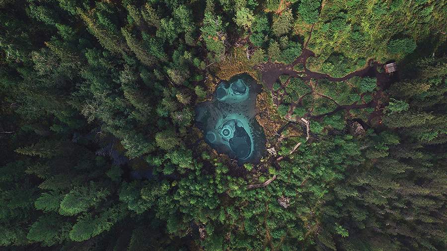 Двигаться дальше: завершился фотоконкурс Дарвиновского музея