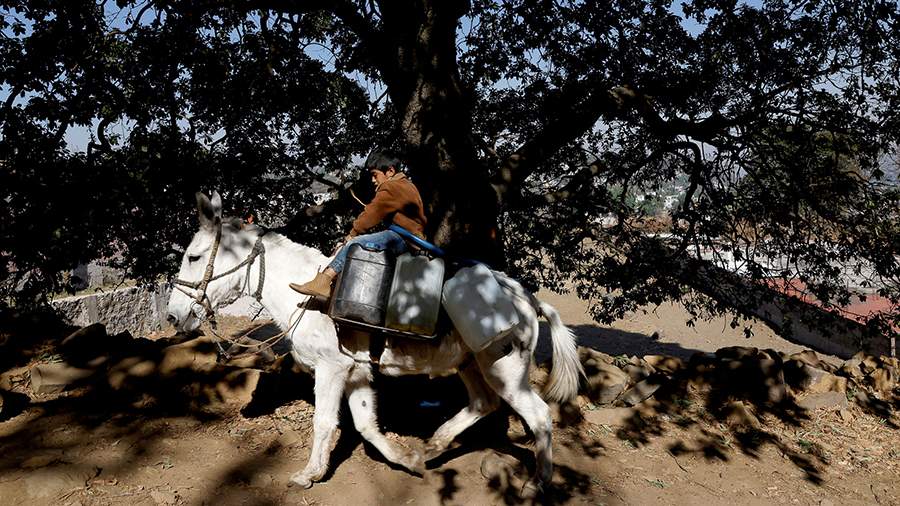 Страшная сухость: как Мексика выживает без воды
