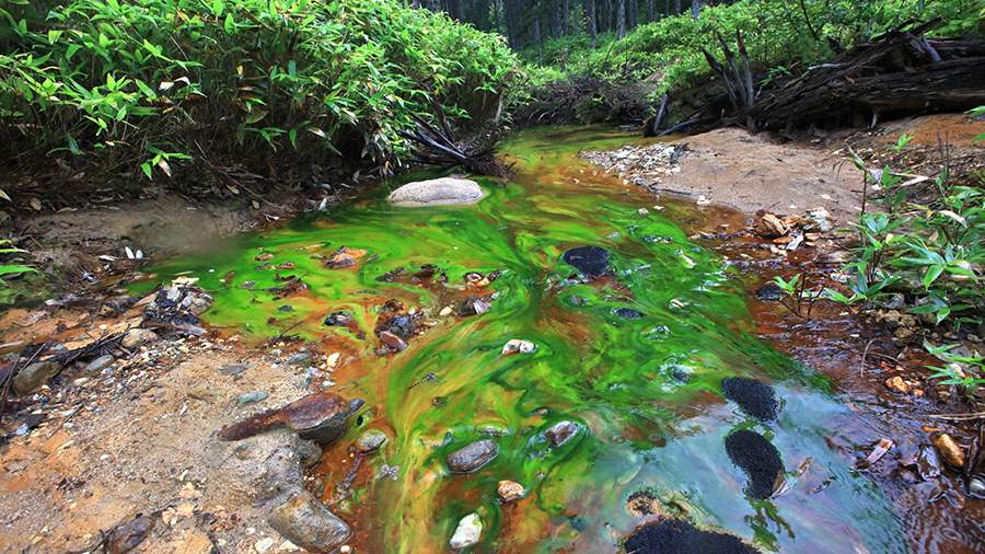Видал виды: российский ученый фотографирует заповедники России