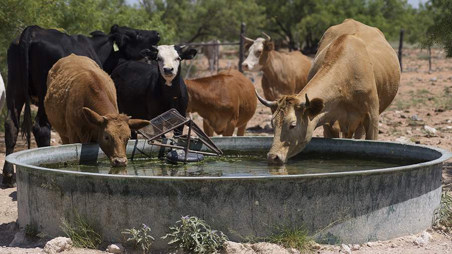 Утечка сданных: кто заткнет американские скважины