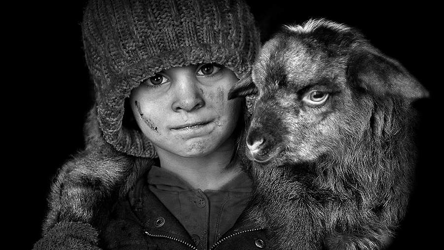 Дикая страсть: как в Европе защищаются от медведей