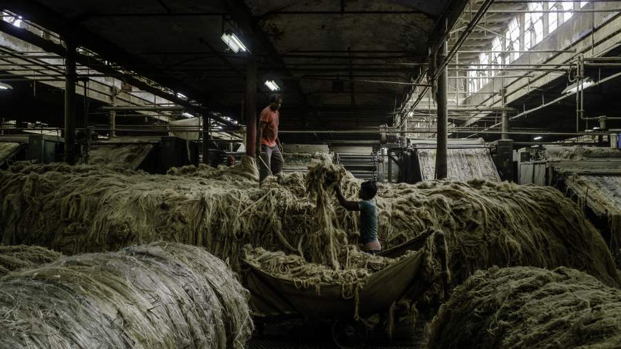 Чистое полотно: из чего в Индии вьют веревки